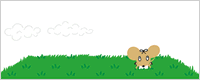 widget_bn